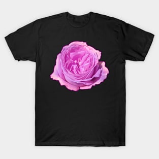 Purple Rose Flower T-Shirt